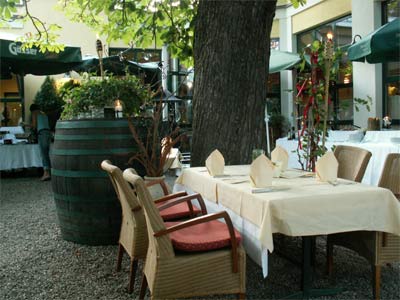 salsa im weingarten mit paco