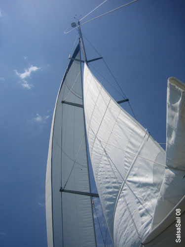 sasail236