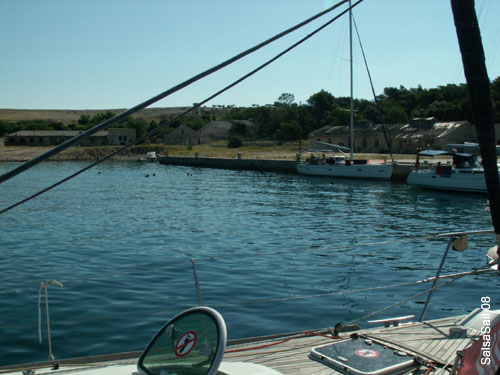 sasail363